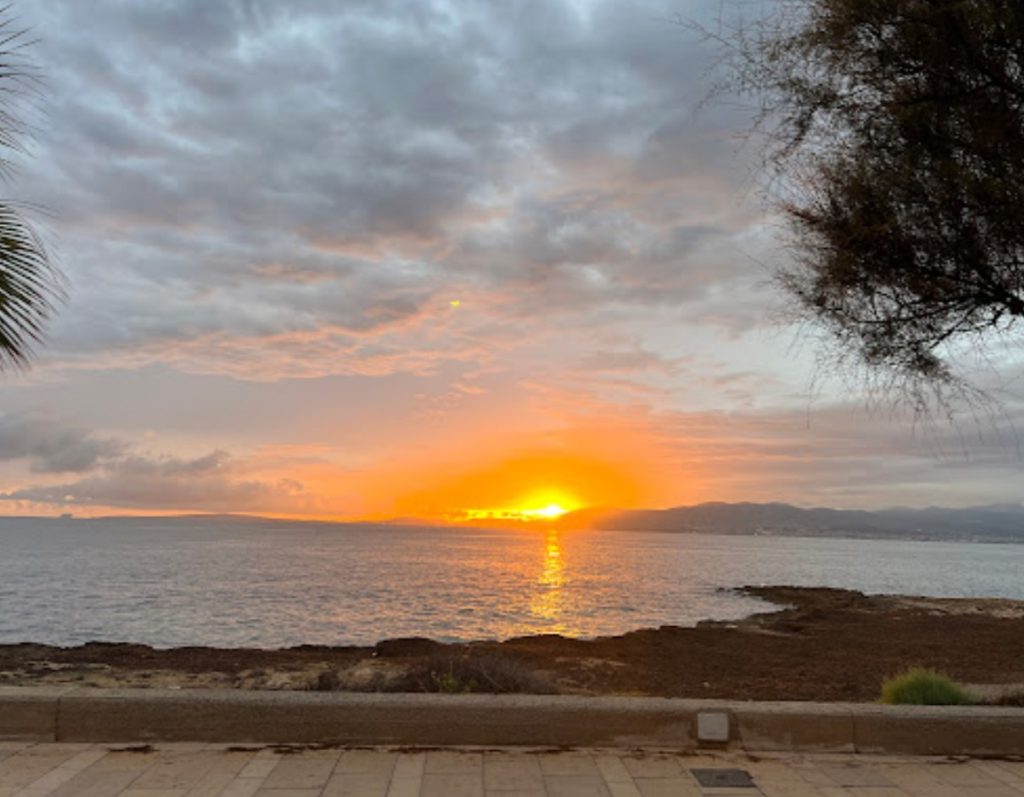 Alquiler de coches en Mallorca libertad total al volante